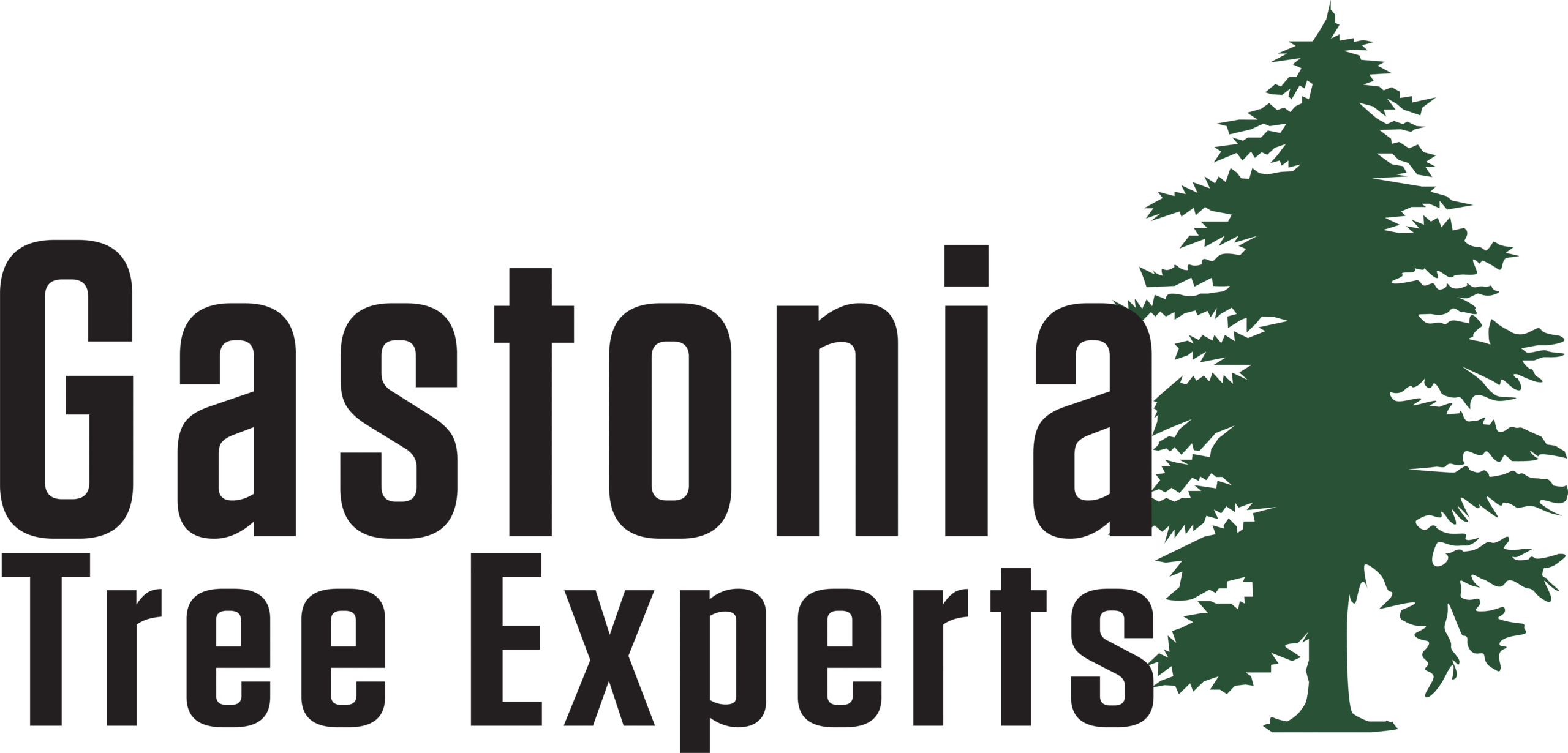 Gastonia Tree Experts